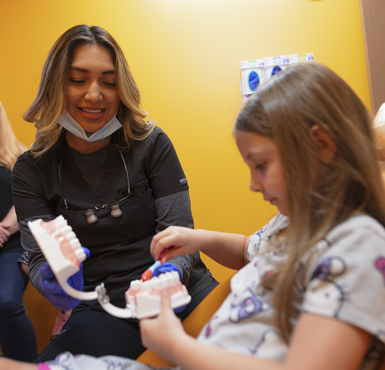 Dental team member watching while little girl brushes model of teeth